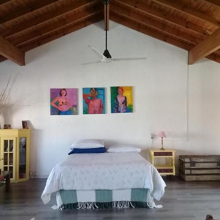La Casa De Los Murales Avellaneda  Extérieur photo